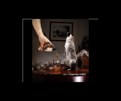 BrewDog�s �The End Of The World� beer is an 55% alcohol brew that comes in a taxidermied squirrel. No, seriously. Unfortunately, they�re sold out, but the cost was $795 a bottle. I guess that�s kind of deal since the beer comes with a squirrel.