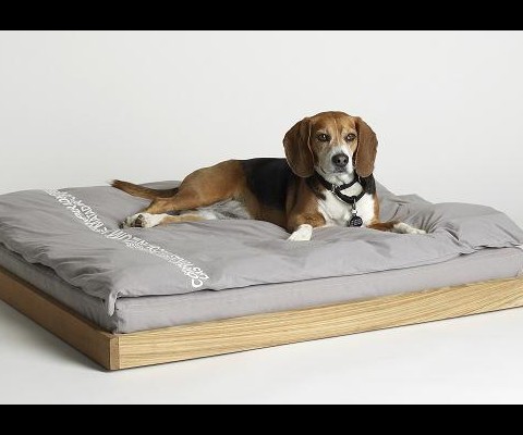 This top-of-the-line doggie divan from designer James Perse is made from 100 percent teak wood, which means you can keep it indoors or outdoors. The comfy foam cushion is hypoallergenic and organic; it comes with a protective waterproof covering and polyfill duvet which are machine washable
