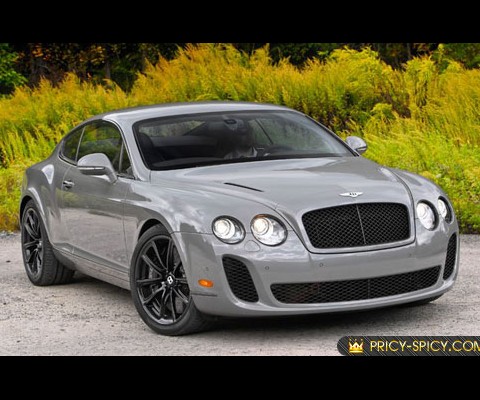2010 Bentley Supersports was conceived to compete with cars like the Ferrari 599 Fiorano and the Aston Martin DBS, the rear seats hit the dumpster entirely. This, and extensive use of carbon-fiber trim, saved another 57 pounds in the cabin. Massive carbon-ceramic front rotors bleed off speed, and you'll flick the downshift paddle numerous times in preparation for the low-speed first corner.