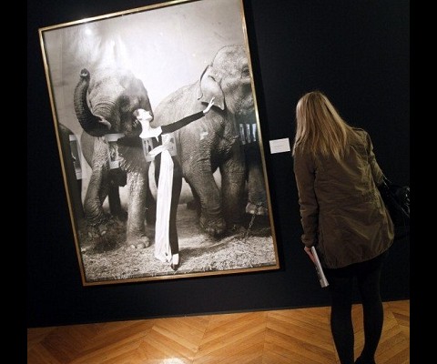A selection of prints by the late, great Richard Avedon fetched $7.5 million at a recent Christie's auction in Paris. Leading the way was a large photograph of model Dovima posing with elephants at a circus. It was taken in 1955 and sold for $1.15 million.