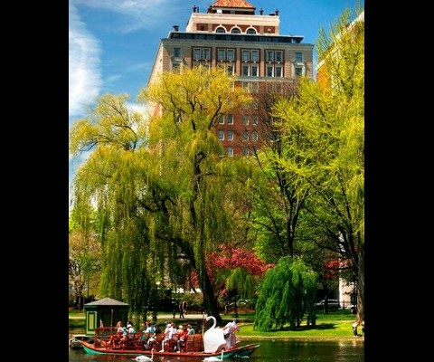We've seen some crazy-insane hotel packages before, but this one takes the very expensive cake. The Taj Boston is offering a $6 million suite. What the heck do you get for $6 mil, you ask? For one, you'll see your name on a new theater at the renowned Boston Conservatory. 